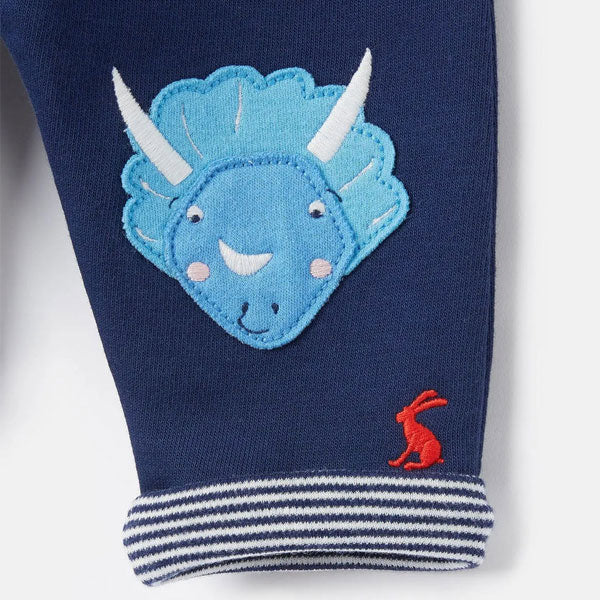 Joules Dino Navy Pants